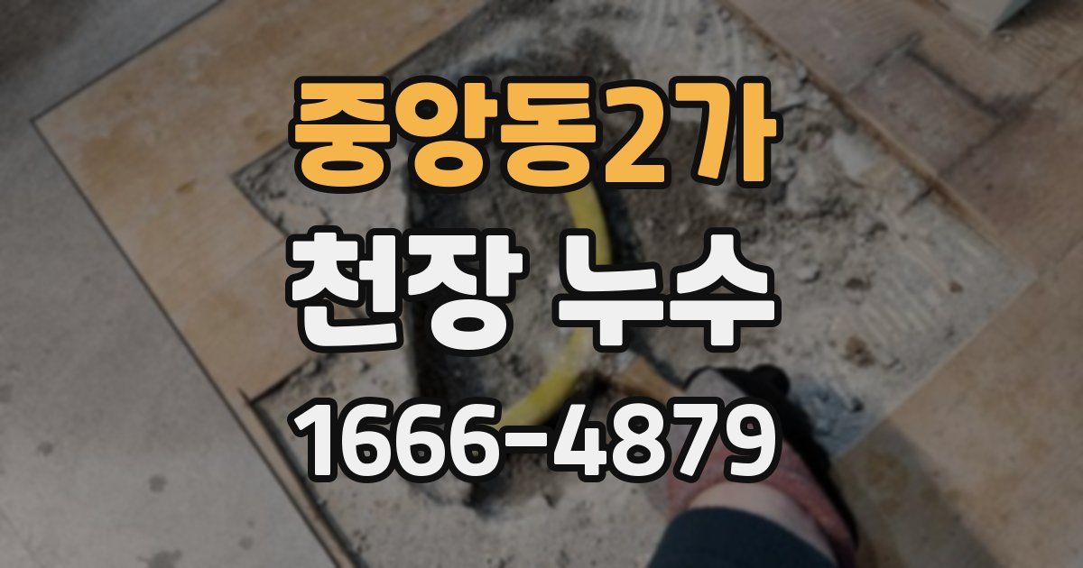 중앙동2가 천장 누수