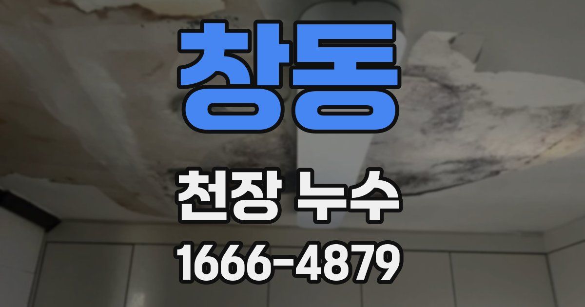 창동 천장 누수