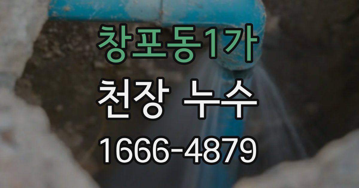 창포동1가 천장 누수