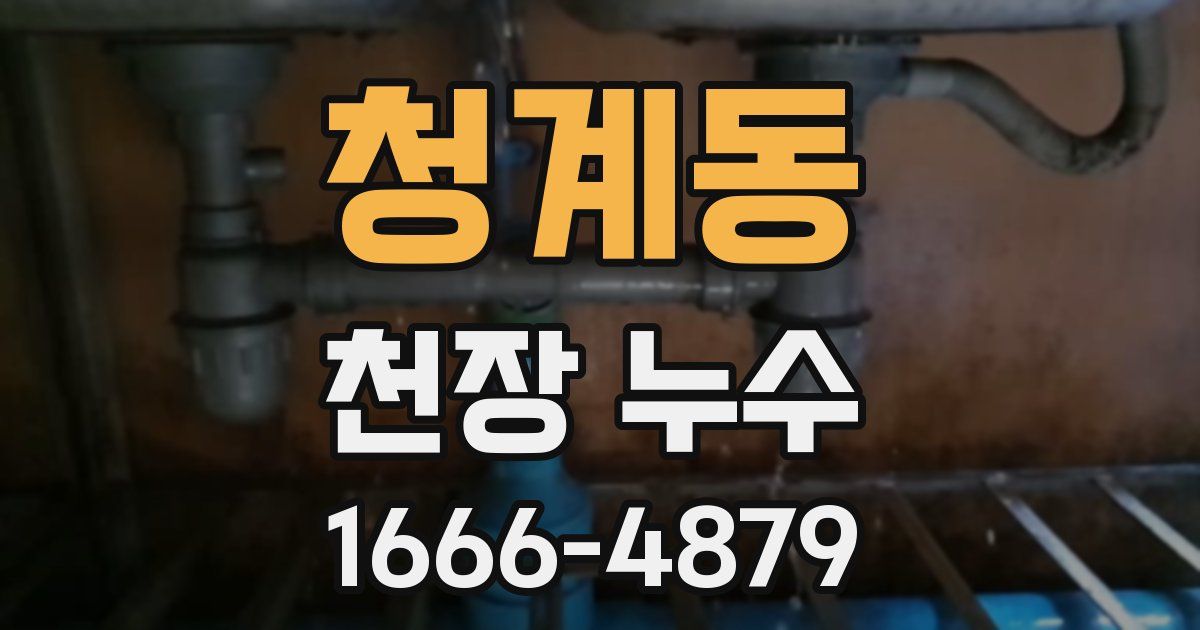 청계동 천장 누수