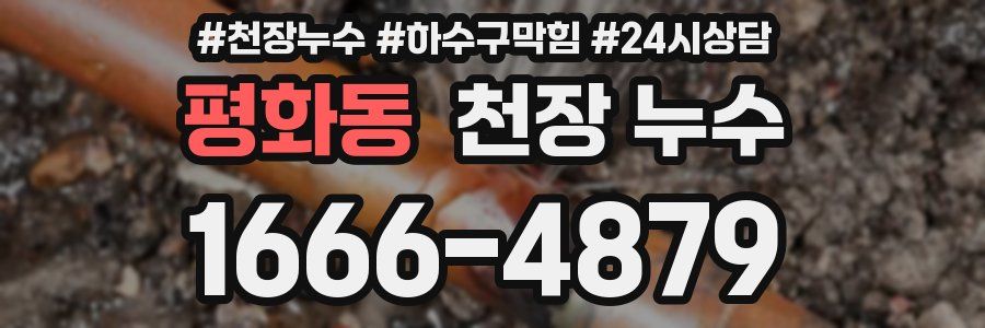 평화동 천장 누수