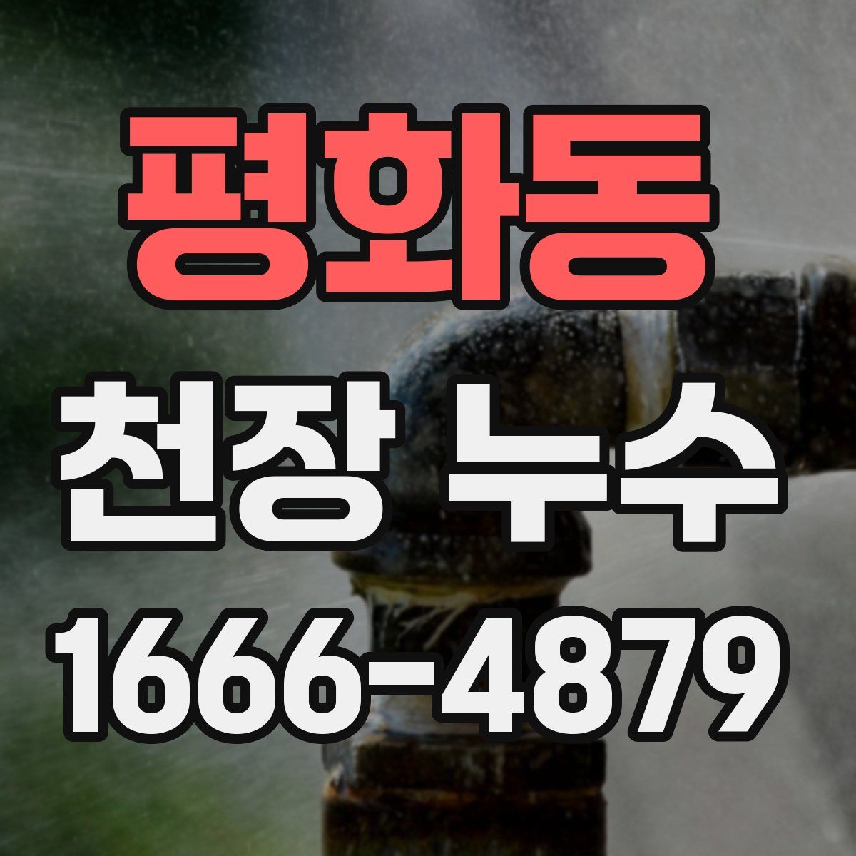 평화동 천장 누수