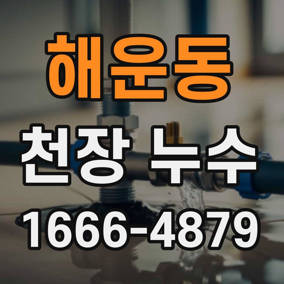 해운동 천장 누수