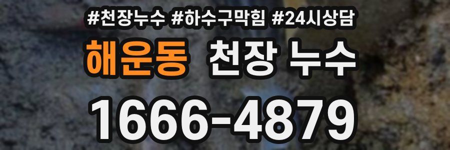 해운동 천장 누수