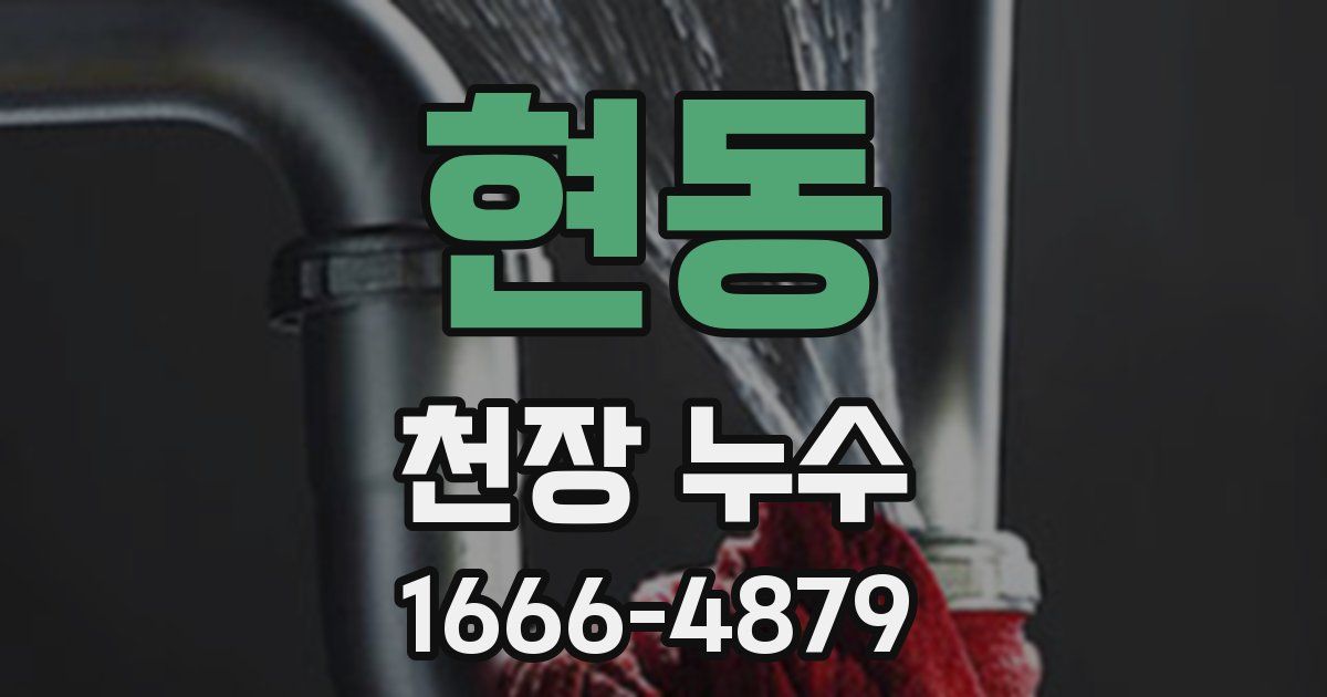 현동 천장 누수