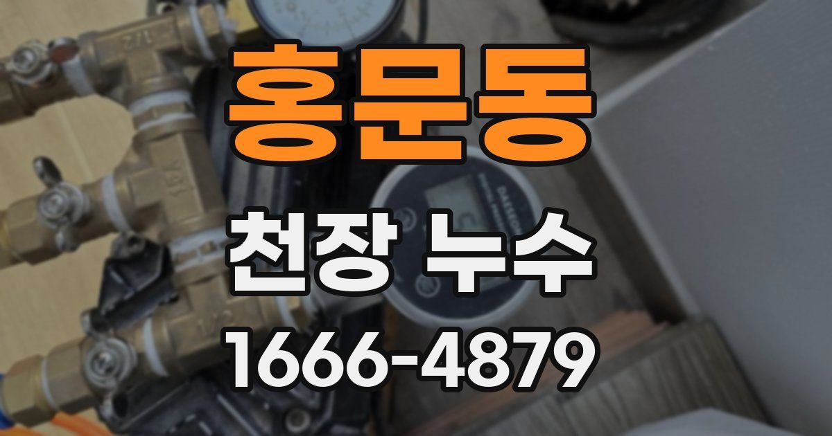 홍문동 천장 누수