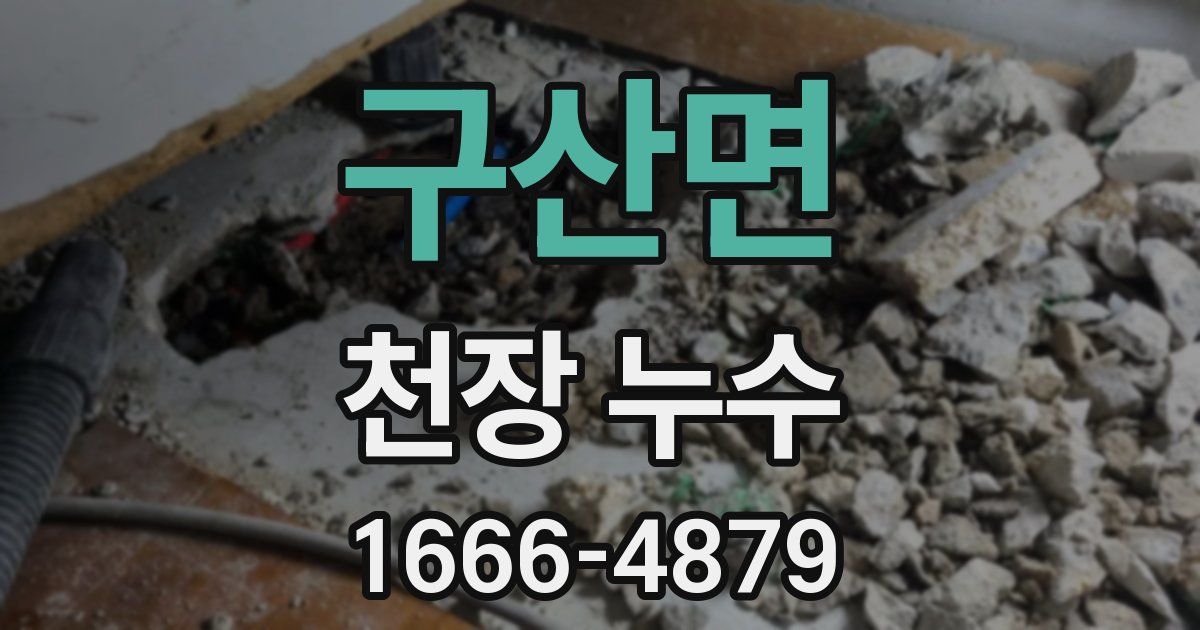 구산면 천장 누수