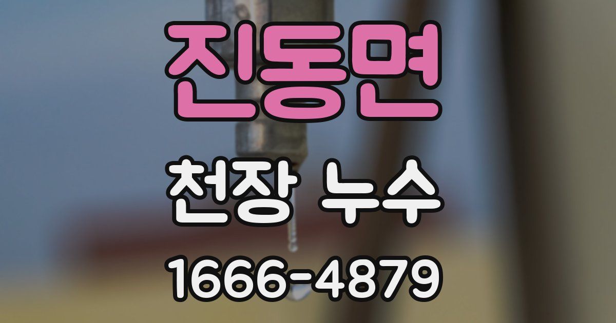 진동면 천장 누수