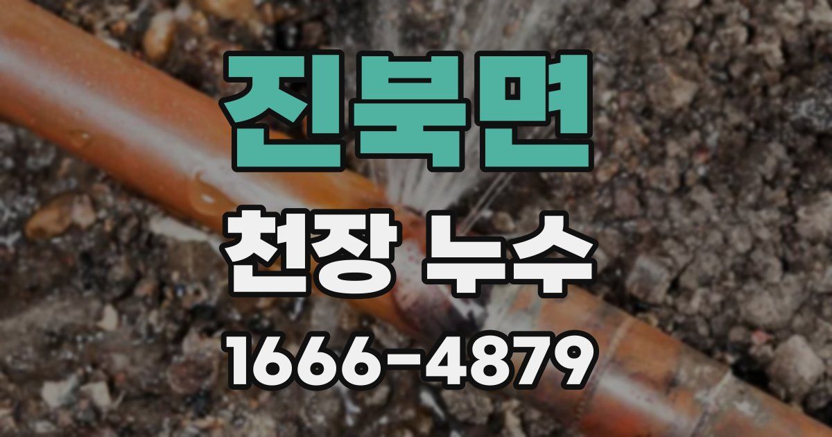 진북면 천장 누수