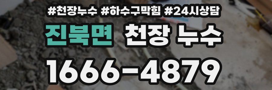 진북면 천장 누수