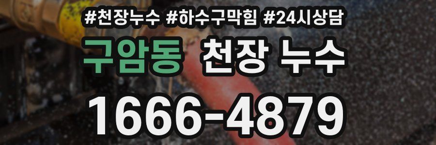 구암동 천장 누수