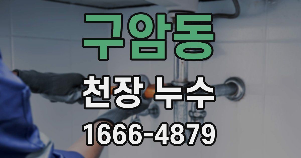 구암동 천장 누수