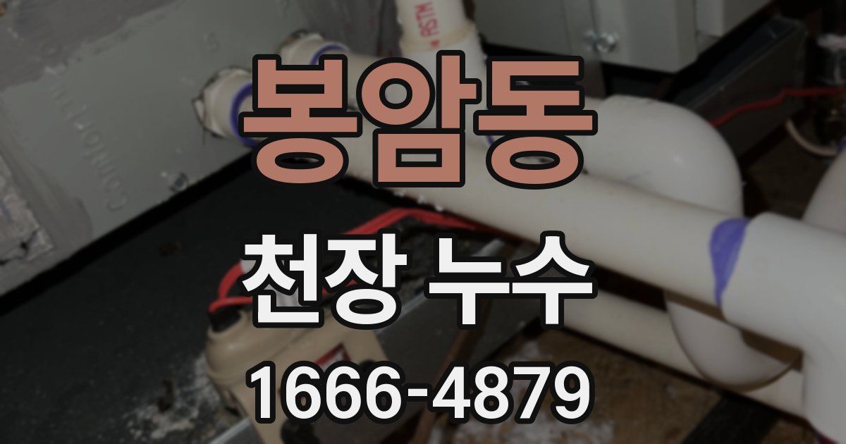 봉암동 천장 누수