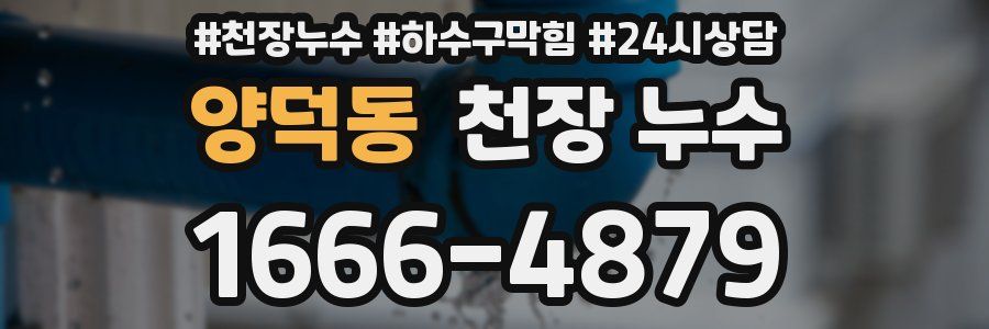 양덕동 천장 누수