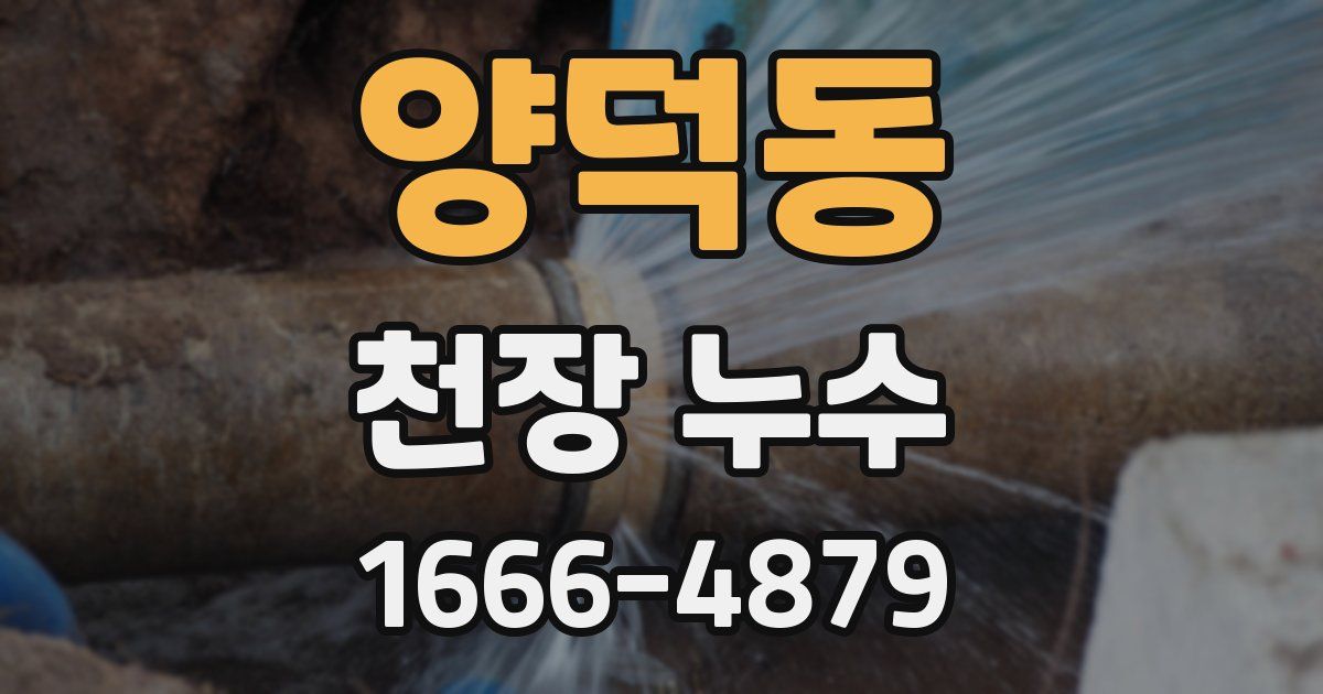 양덕동 천장 누수