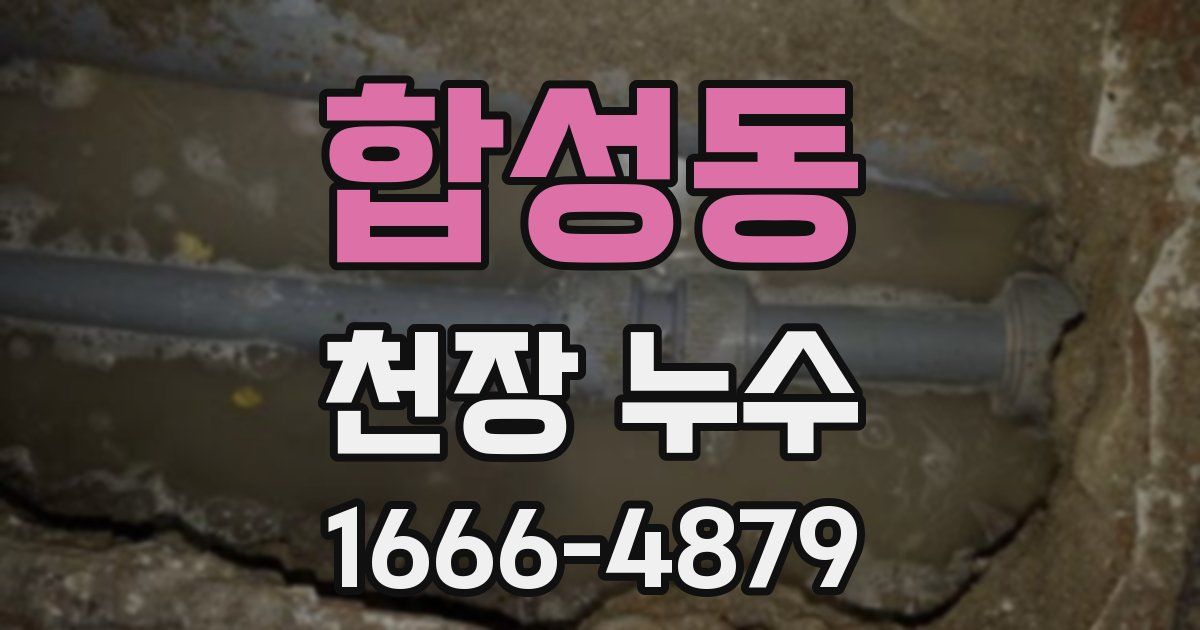 합성동 천장 누수