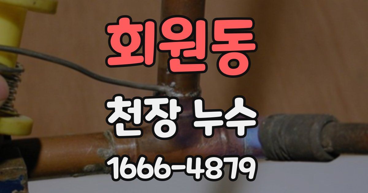 회원동 천장 누수