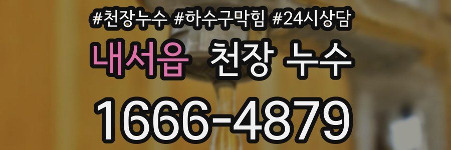 내서읍 천장 누수