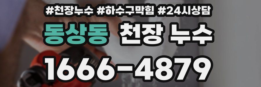 동상동 천장 누수