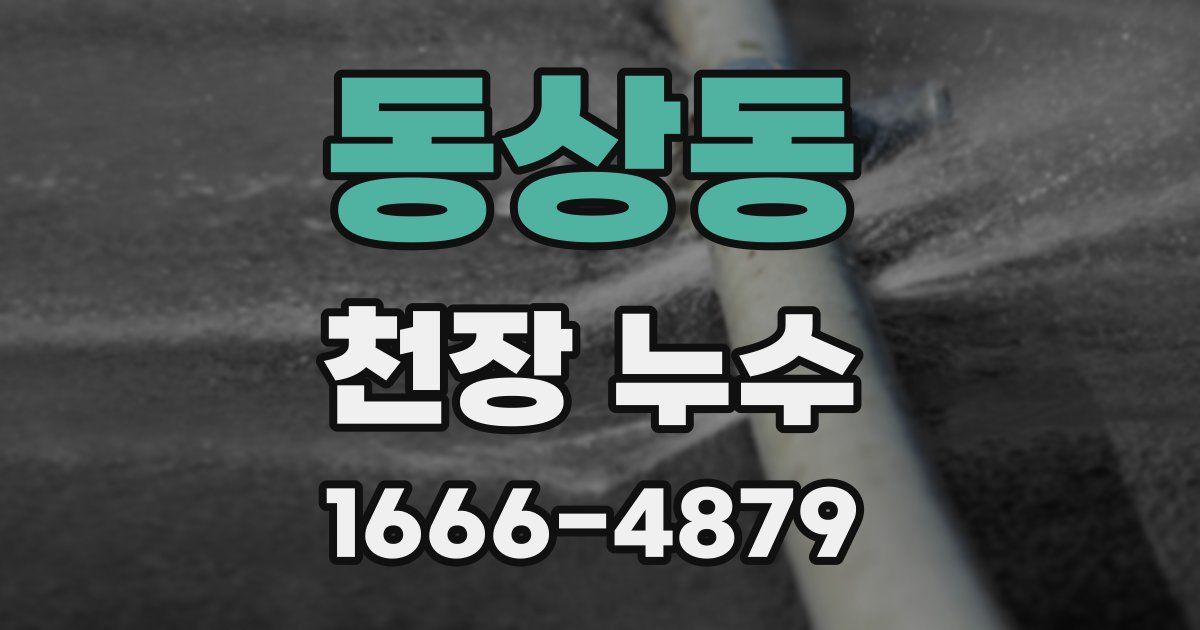 동상동 천장 누수