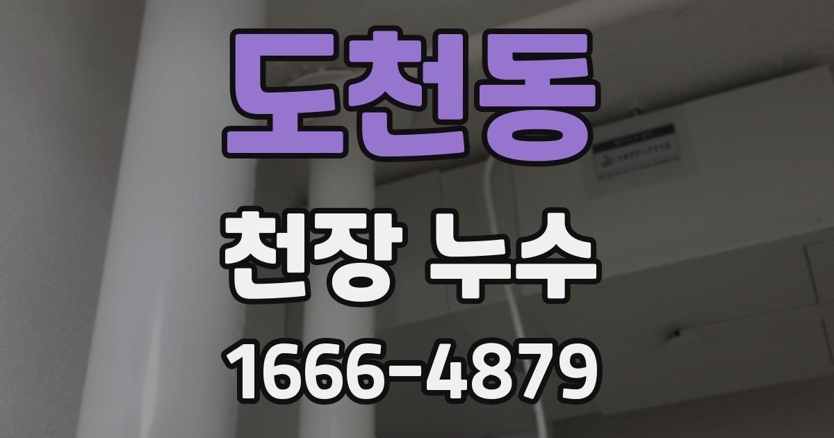 도천동 천장 누수