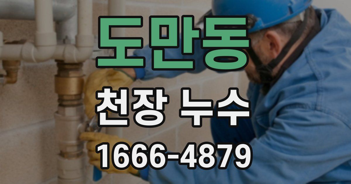 도만동 천장 누수