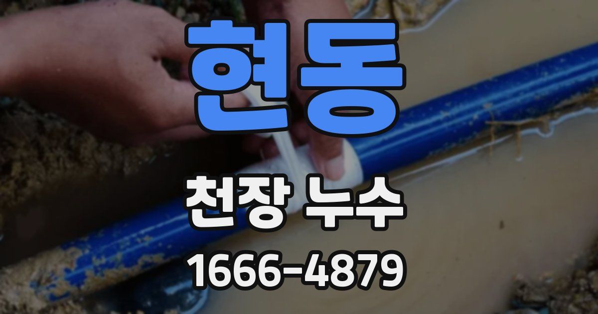 현동 천장 누수