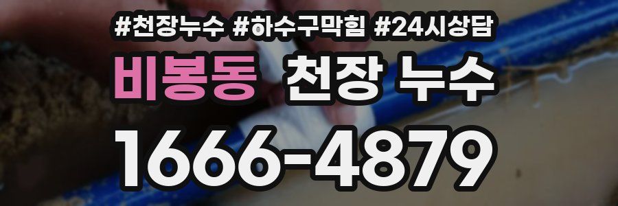 비봉동 천장 누수