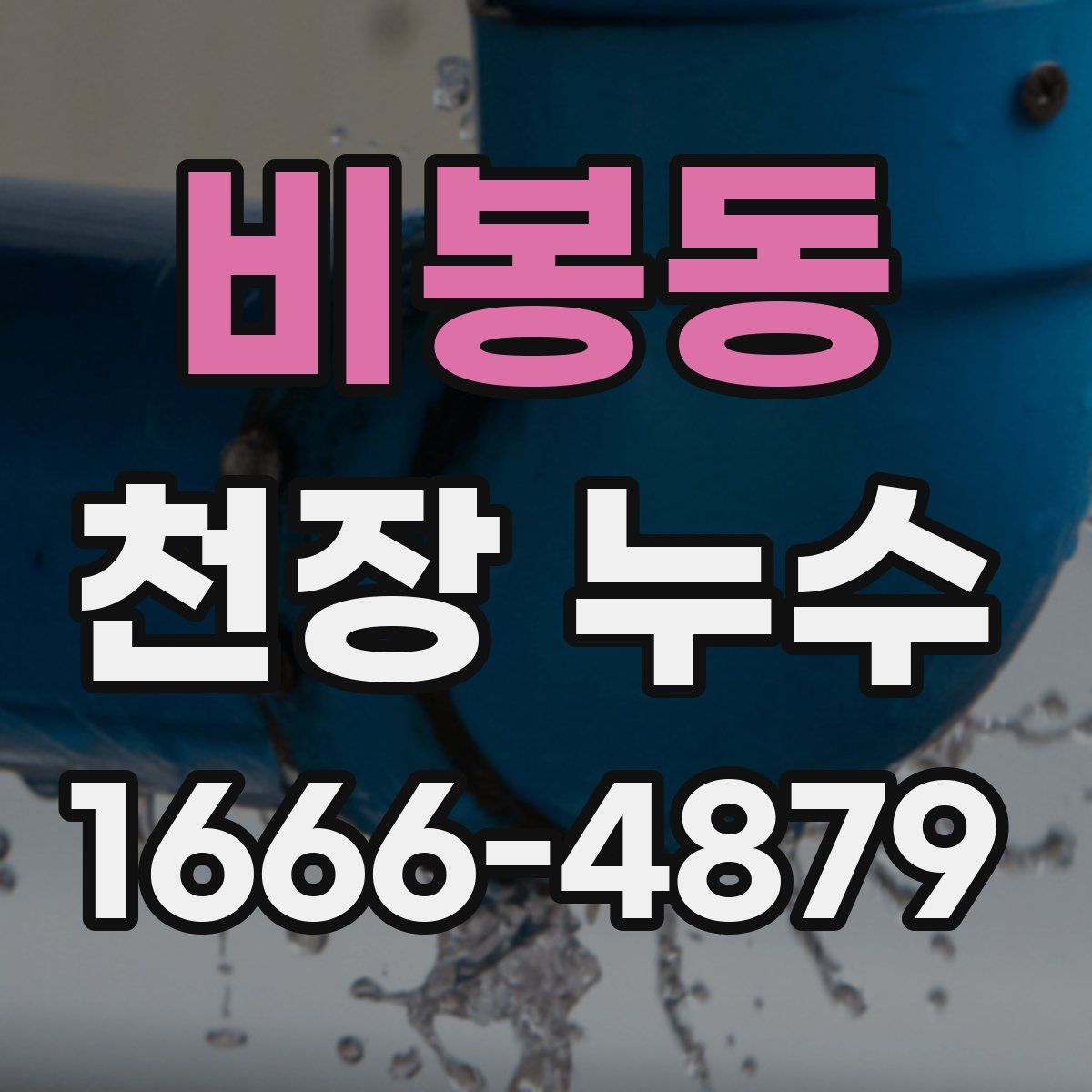 비봉동 천장 누수