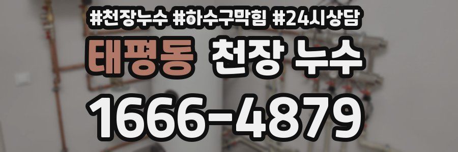 태평동 천장 누수