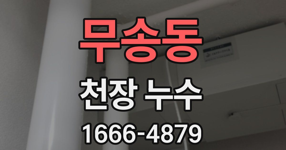 무송동 천장 누수