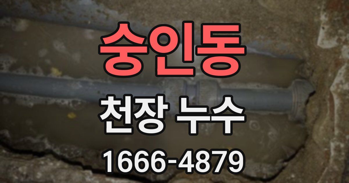 숭인동 천장 누수