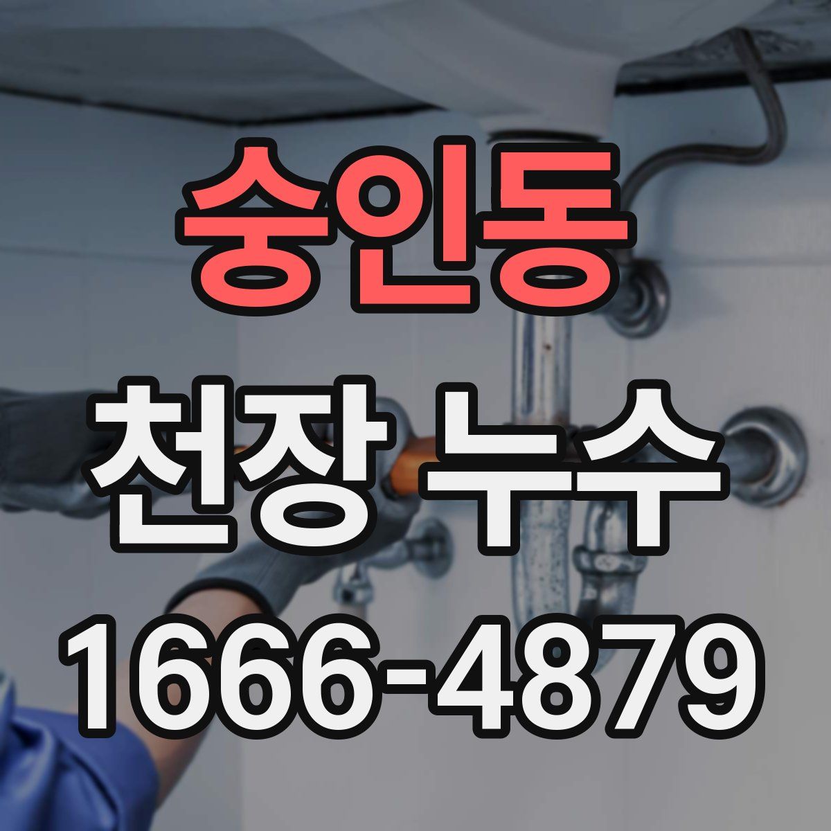 숭인동 천장 누수