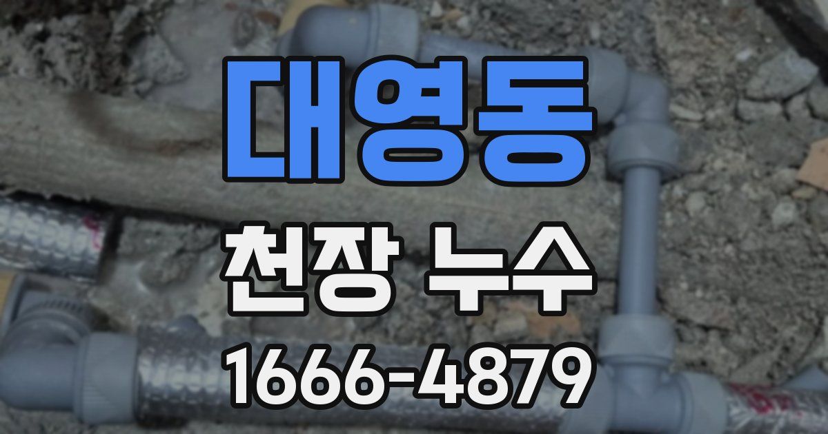 대영동 천장 누수