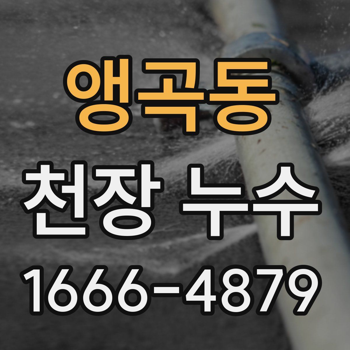 앵곡동 천장 누수