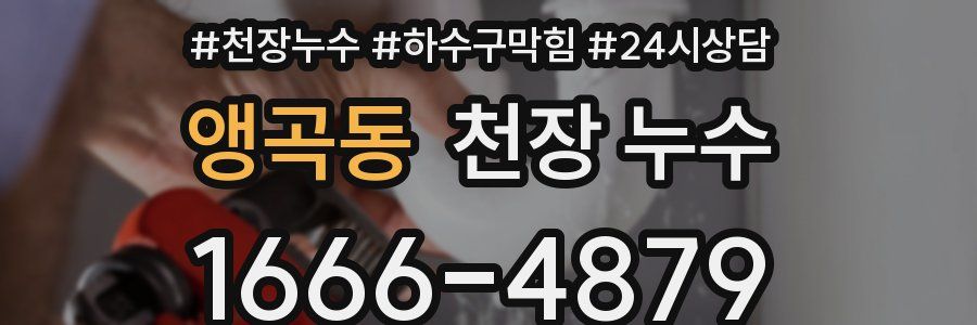 앵곡동 천장 누수