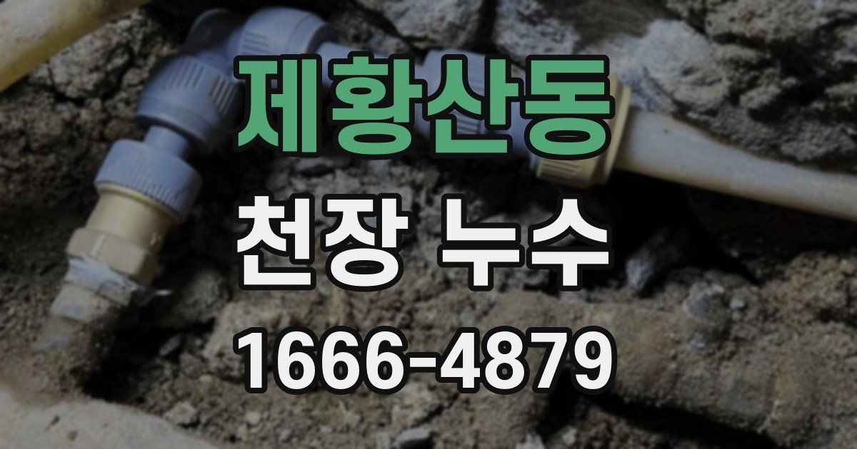 제황산동 천장 누수