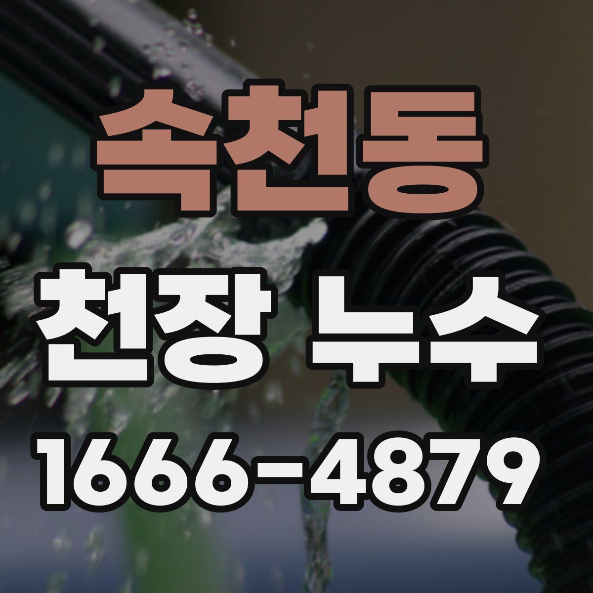 속천동 천장 누수