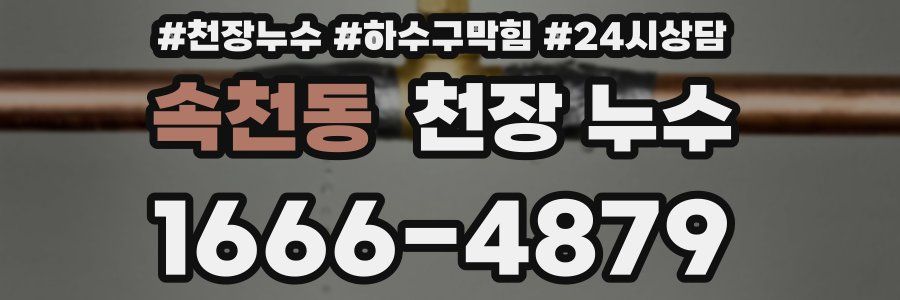 속천동 천장 누수