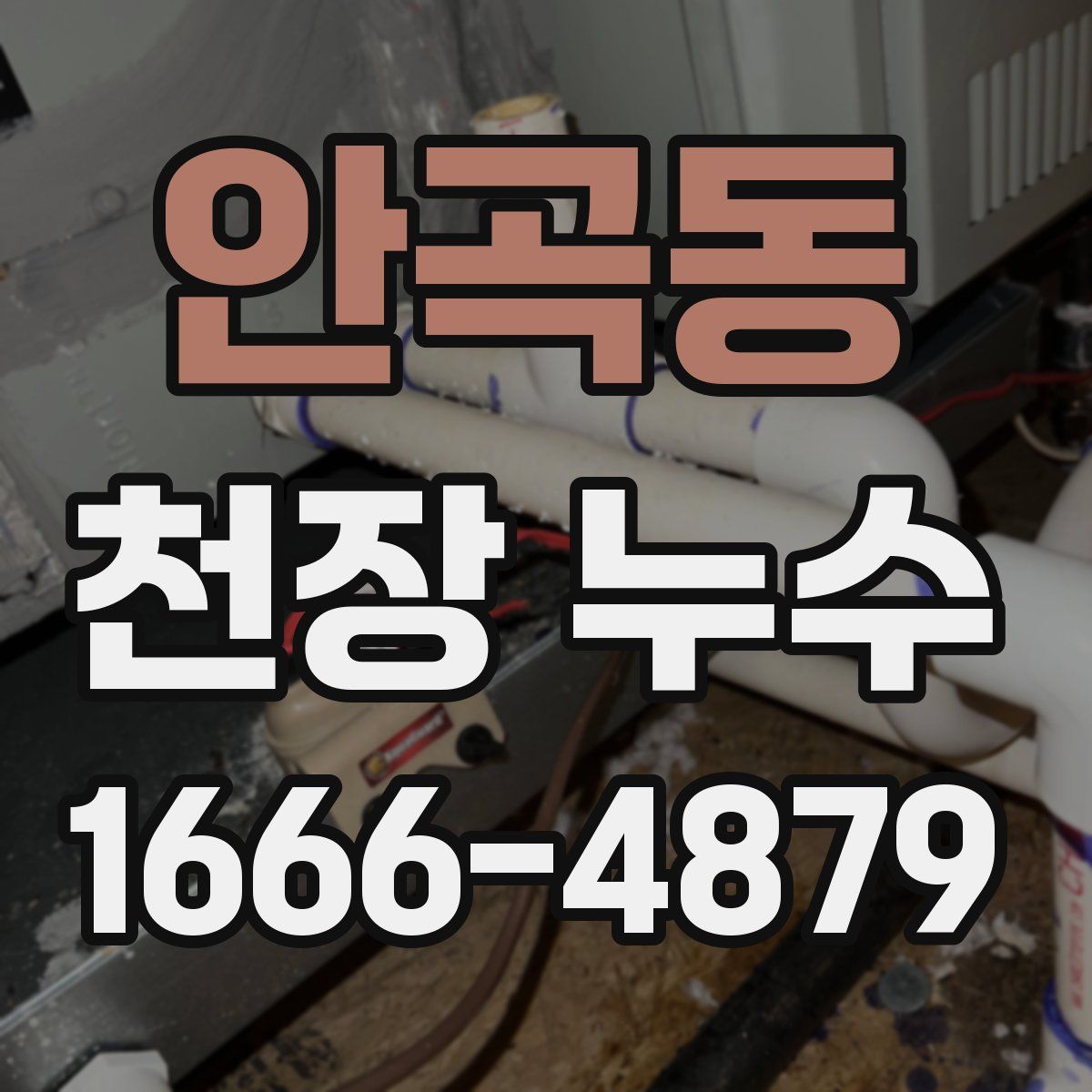 안곡동 천장 누수