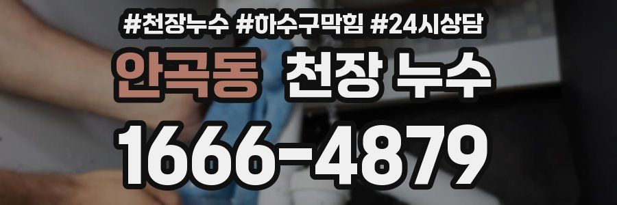 안곡동 천장 누수