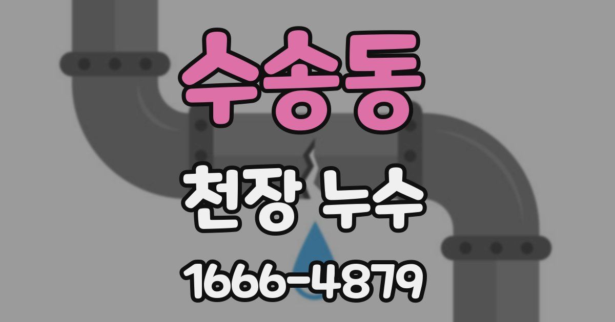 수송동 천장 누수