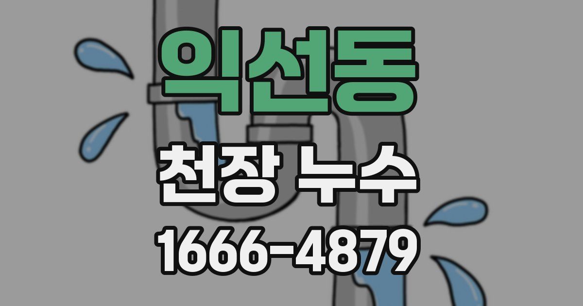 익선동 천장 누수