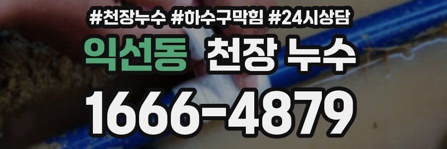 익선동 천장 누수