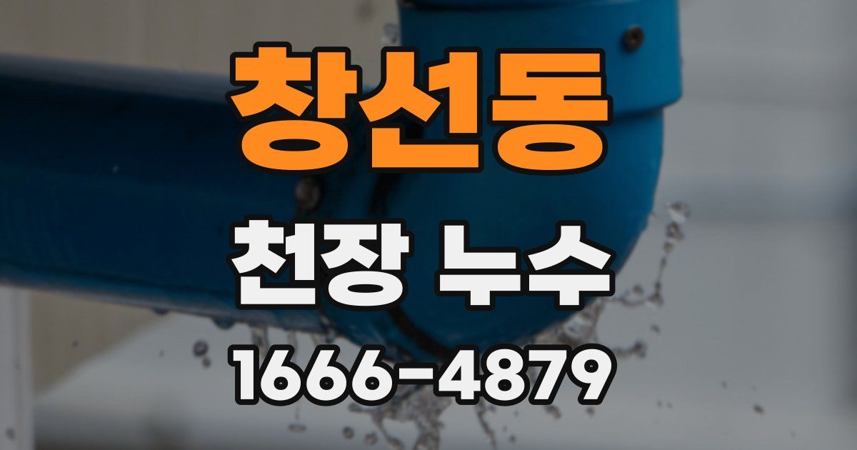 창선동 천장 누수