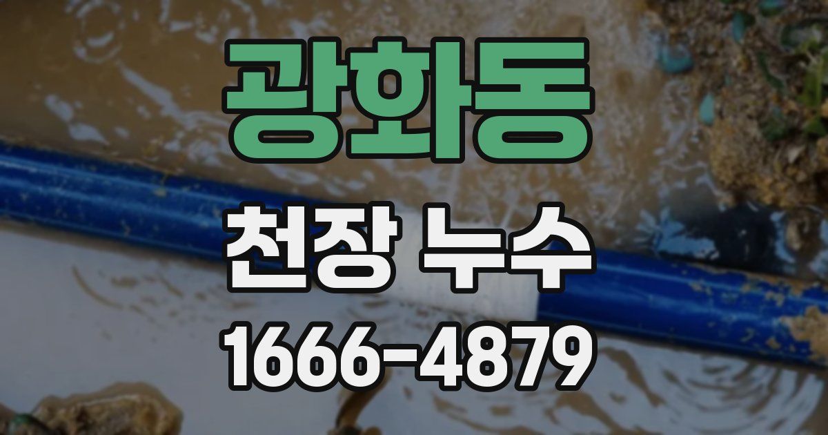 광화동 천장 누수
