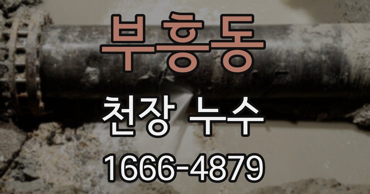 부흥동 천장 누수