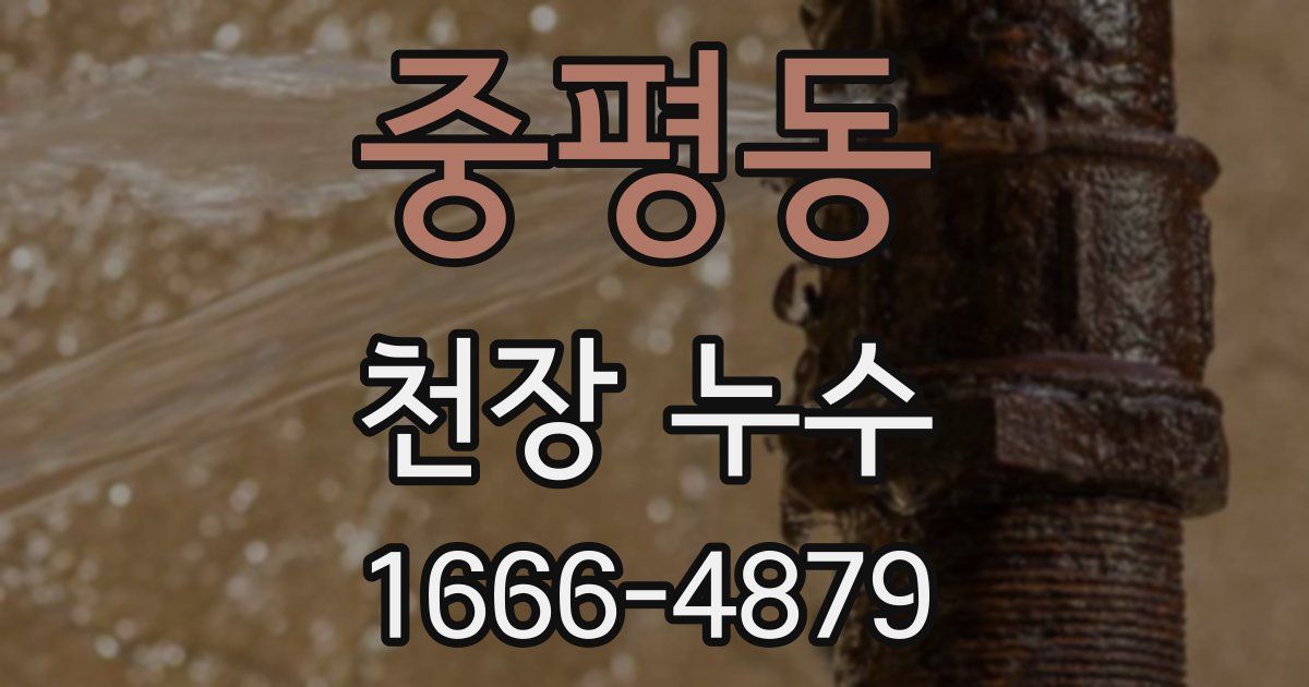 중평동 천장 누수