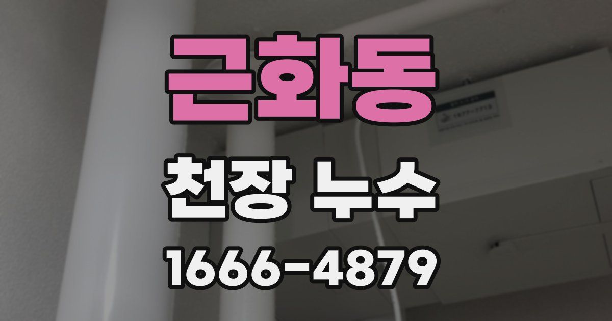 근화동 천장 누수