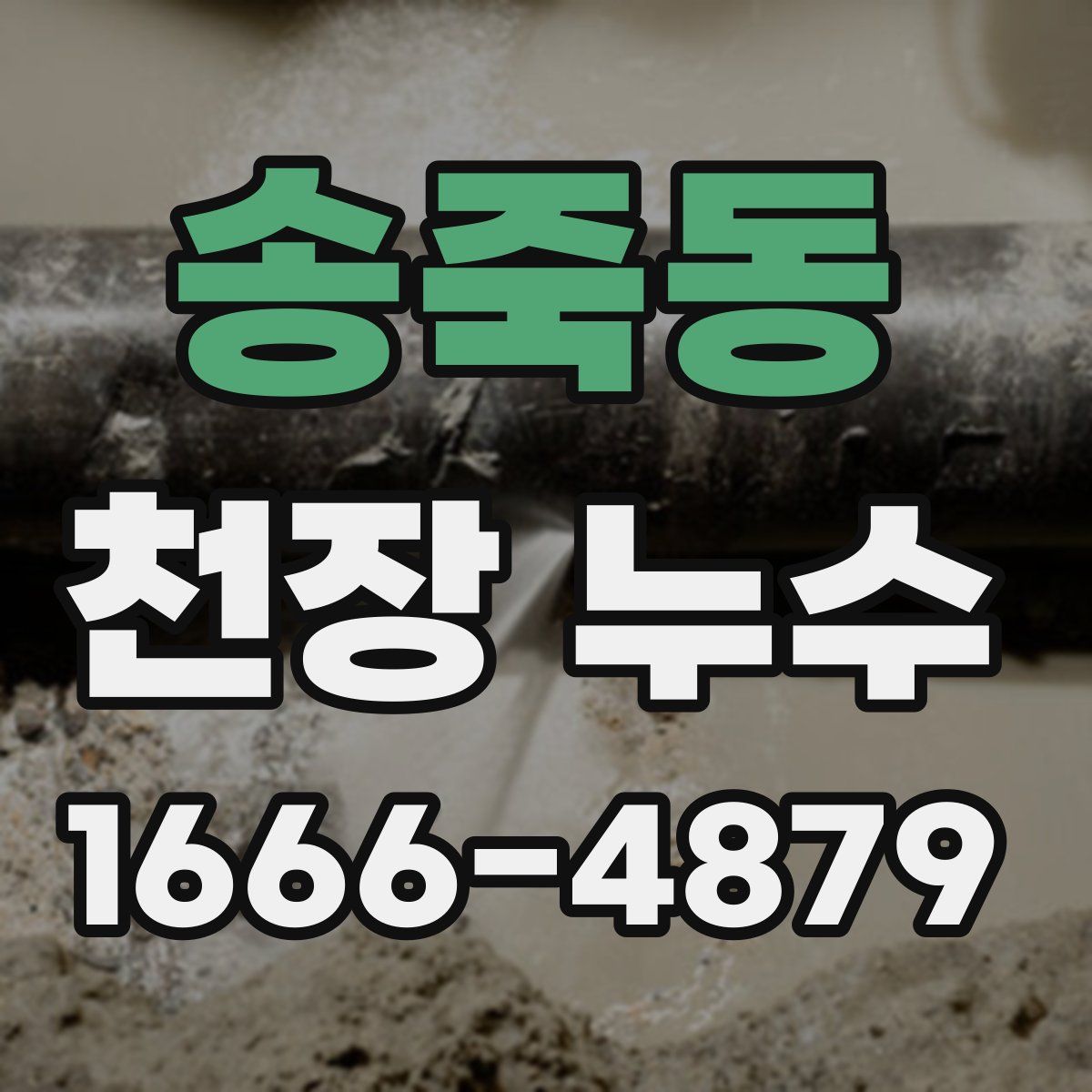 송죽동 천장 누수